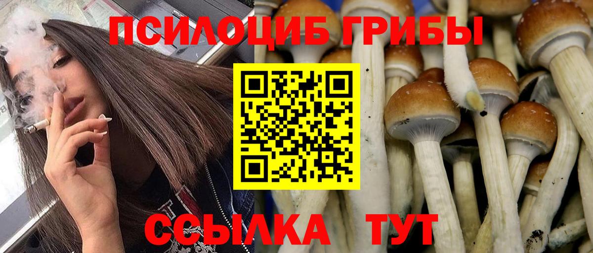 Галлюциногенные грибы Cubensis  Галлюциногенные грибы Psilocybine cubensis  Магадан  Вход с VPN 