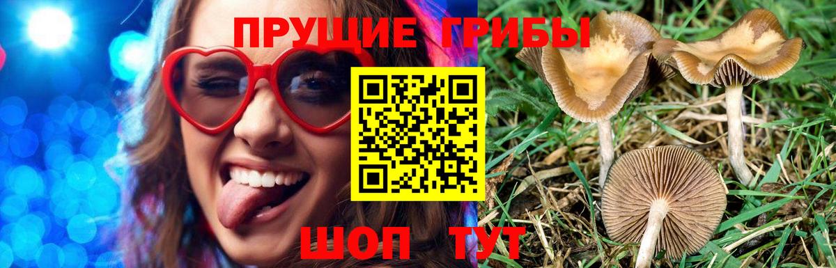 НБОМе  ЭКСТАЗИ  Магадан  Вход с VPN  КОКАИН  Гашиш  Мефедрон   МДМА  Как найти наркотики?  Марихуана 